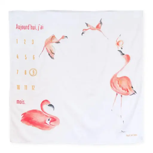 [4647] Carré Photo La Famille Flamants Roses