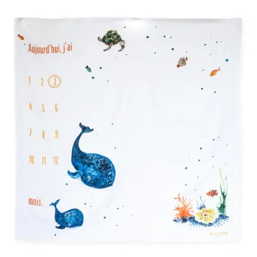 [4623] Carré Photo Les Baleines