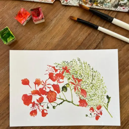 [0212] Carte Postale - Les Flamboyants