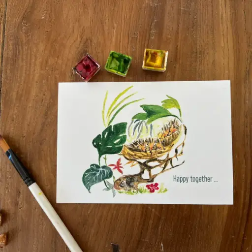 [3510] Carte Postale Réunion - Happy Together