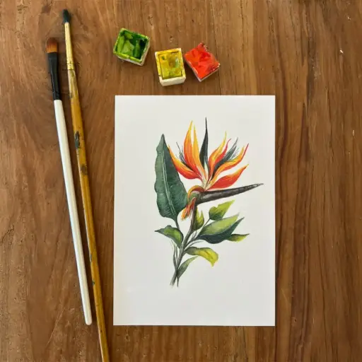 [6221] Carte Postale Réunion - La Fleur de Paradis