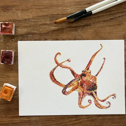 [3152] Carte Postale Zourite