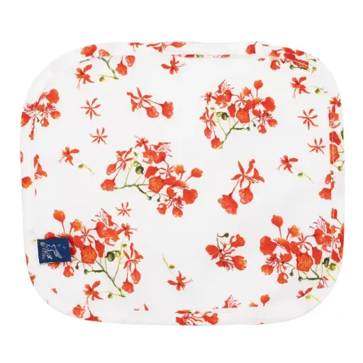 [2902] Débarbouillette - Les Flamboyants