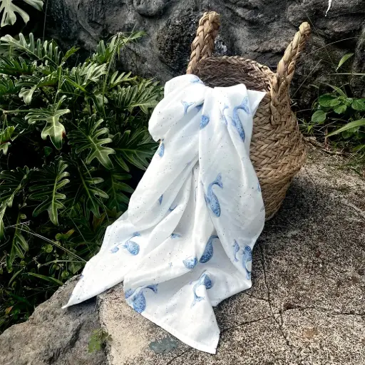 [2643] Grand Lange Lisse - Les Baleines Bleues