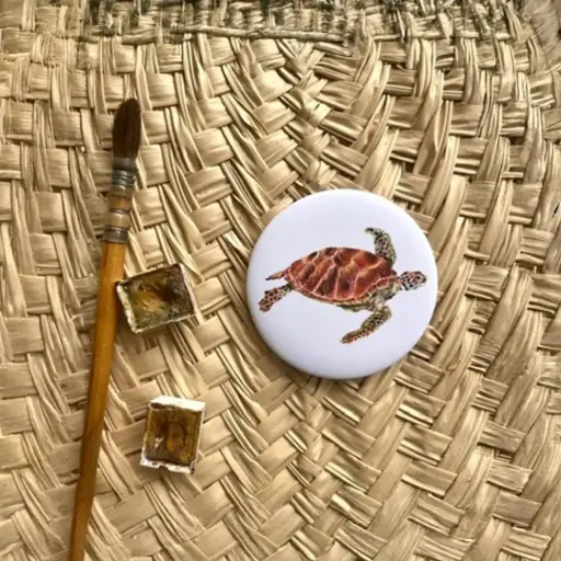 [2179] Magnet La Tortue Verte