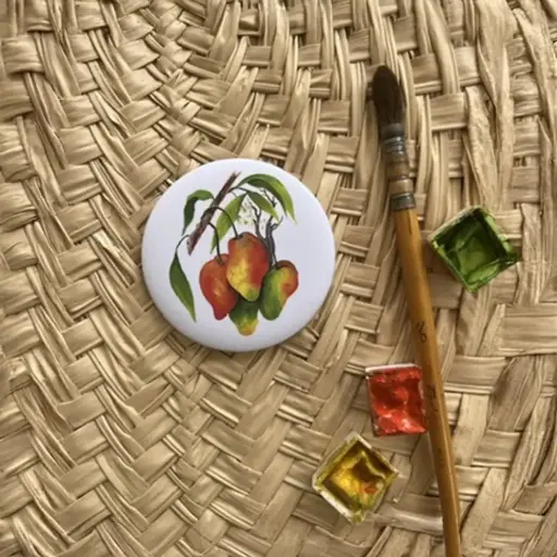 [6269] Magnet les Mangues