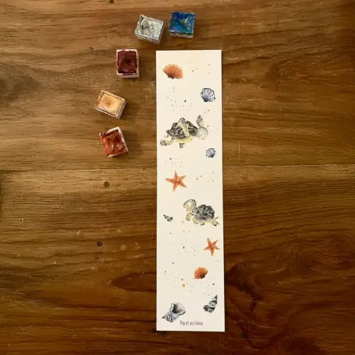 [2087] Marque Page - Les Tortues et les Coquillages