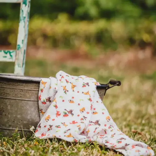 [1905] Maxi Lange - Les Oiseaux et les Goyaviers