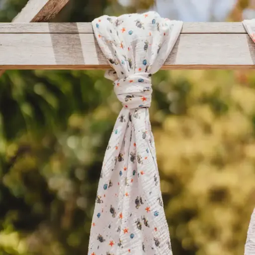 [1899] Maxi Lange - Les Tortues et les Coquillages