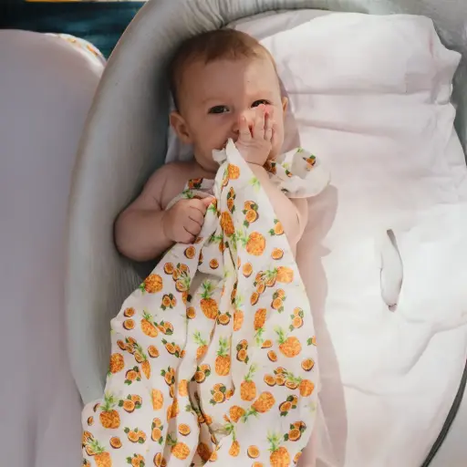 [1820] Petit Lange - L' Ananas et Le Fruit de La Passion