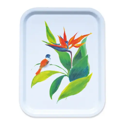 [1554] Plateau - L'Oiseau de Paradis