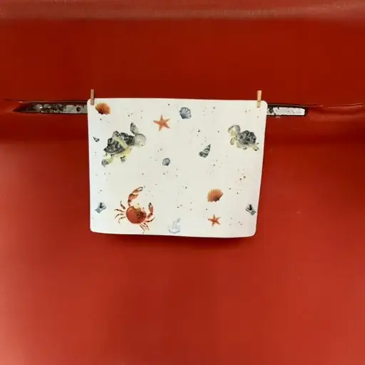 [6399] Set de Table - Les Tortues et les Coquillages